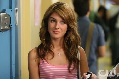 Shenae Grimes as Annie
