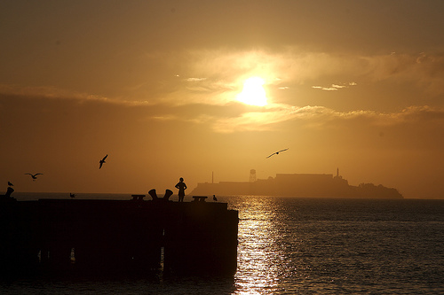 534558930_010deeed28