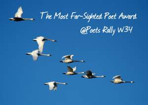 most-far-sighted-poet-award