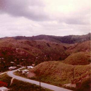 1016088_176650052503313_2017790131_n